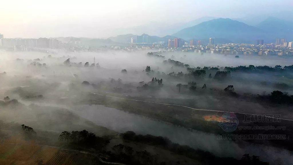 逃离未知丛林